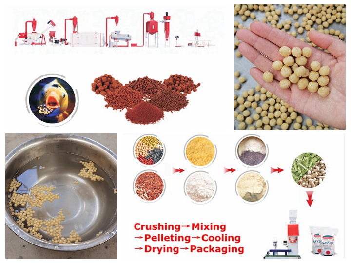 Brand new feed extruder machine parts manufacturer in china price in Zimbabwe